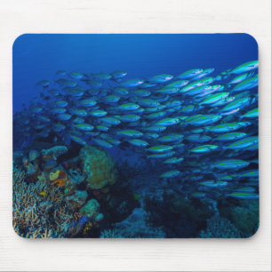Tapis De Souris Poissons tropicaux de la mer de corail Mousepad