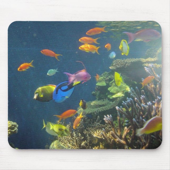 Tapis De Souris Poissons tropicaux hawaïens (Devant)