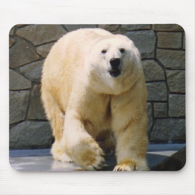 Tapis De Souris Polarbear (Devant)
