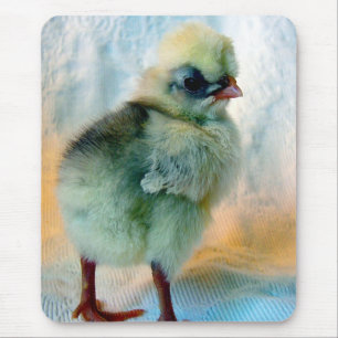 Tapis De Souris Polish chick