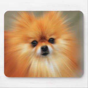 Tapis De Souris Pomeranian