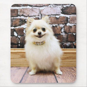 Tapis De Souris Pomeranian - collier de vanité d'Abby