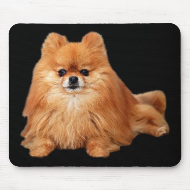 Tapis De Souris Pomeranian Mousepad (Devant)