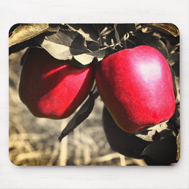 Tapis De Souris Pommes rouges dans l'arbre (Devant)