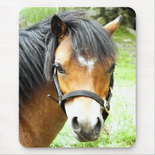 TAPIS DE SOURIS PONY BROWN