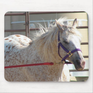 Tapis De Souris Pony tacheté