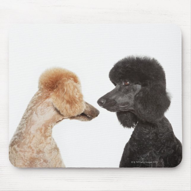 Tapis De Souris Poodles se regardant (Devant)