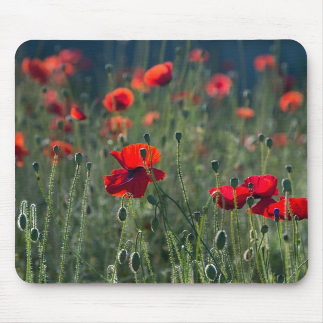 Tapis De Souris Poppies in a Field (Devant)
