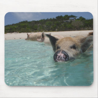 Tapis De Souris porc