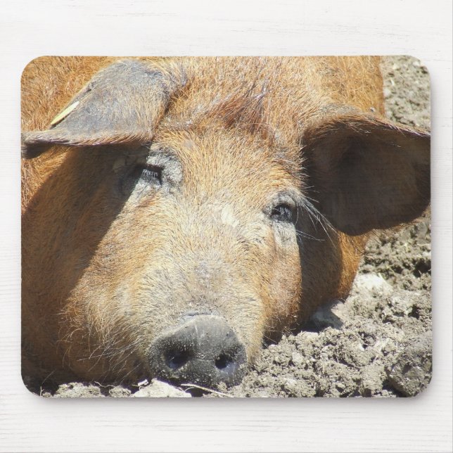 Tapis De Souris Porc" Mousepad "de sommeil (Devant)