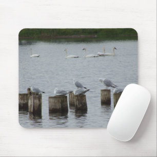 Tapis De Souris Porte-souris pour mouettes