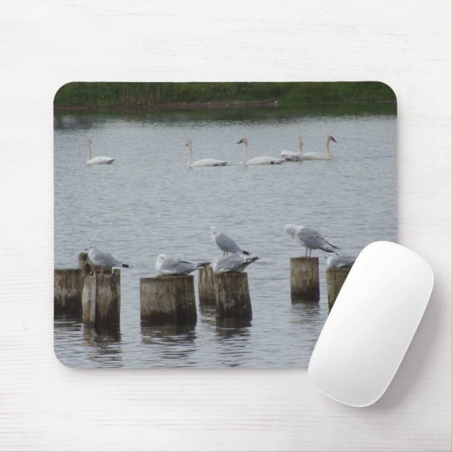 Tapis De Souris Porte-souris pour mouettes (Avec souris)