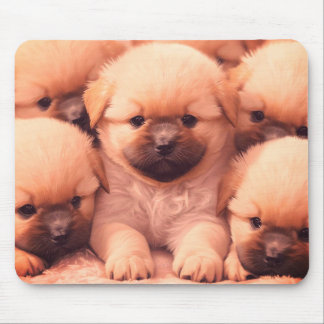 Tapis De Souris Portée de chiots duveteux sur tablette de bureau d