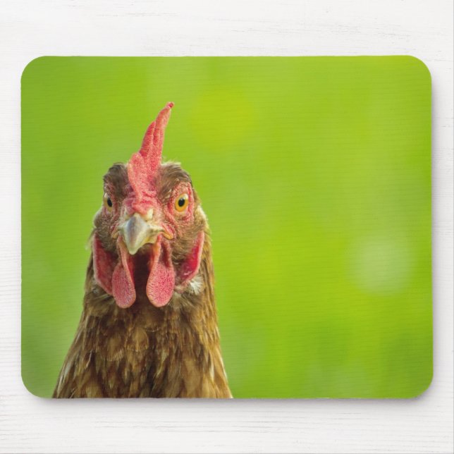 Tapis De Souris Portrait amusant de poulet - Mousepad (Devant)