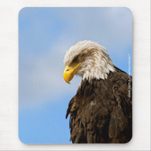 Tapis De Souris Portrait d'aigle à tête blanche Art animalier