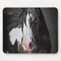 Portrait de cheval II