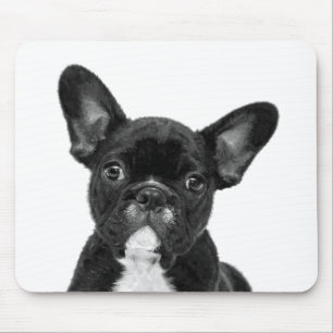 Tapis De Souris Portrait de Chien de France Noir et Blanc