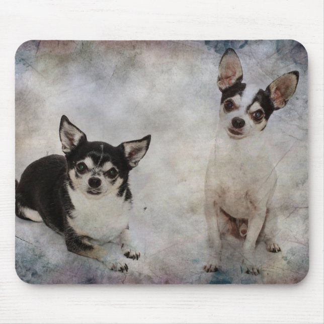 Tapis De Souris Portrait de deux chihuahua (Devant)