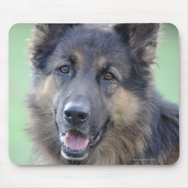 Tapis De Souris Portrait de German Sheppard (Devant)