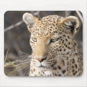 Tapis De Souris Portrait de Léopard