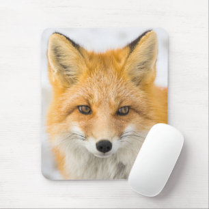 Tapis De Souris Portrait de renard roux