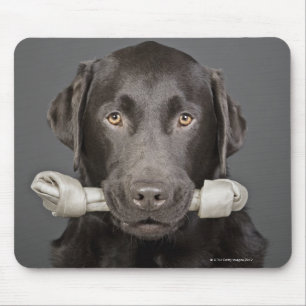 Tapis De Souris Portrait de studio du transport de Labrador de