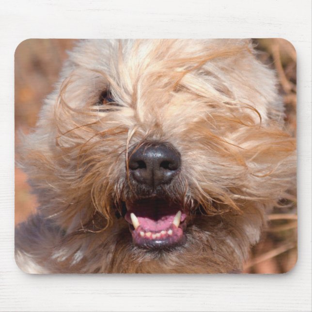 Tapis De Souris Portrait de Terrier roux à revêtement souple (Devant)