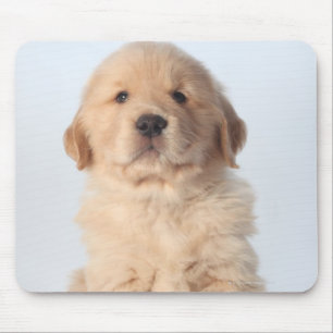 Tapis De Souris Portrait de vieux chiot de six semaines de golden
