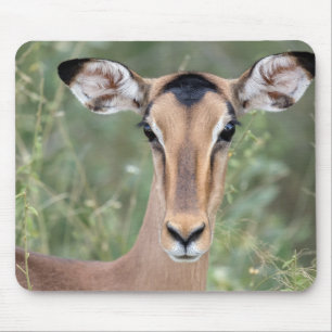 Tapis De Souris Portrait d'Impala