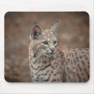 Tapis De Souris Portrait d'un Bobcat