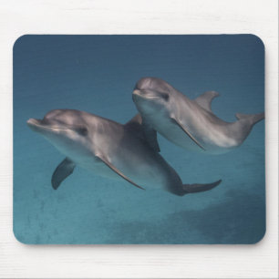 Tapis De Souris Pose espiègle