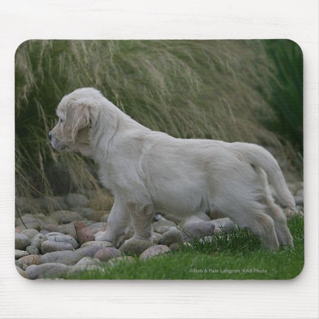 Tapis De Souris Position de chiot de golden retriever (Devant)
