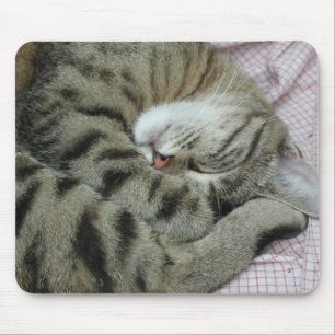 Tapis De Souris Position de couchage des chats maladroits