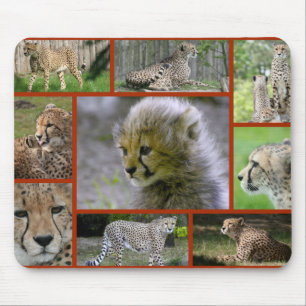 Tapis De Souris Poster Cheetah-Collage 001