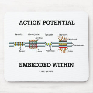 Tapis De Souris Potentiel d'action intégré dans (Junctions de cell
