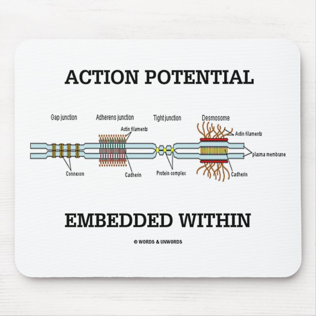 Tapis De Souris Potentiel d'action intégré dans (Junctions de cell (Devant)