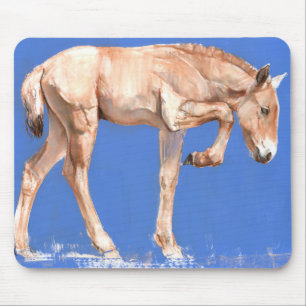 Tapis De Souris Poulain 2012 de Przewalski