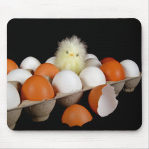 Tapis De Souris Poule en carton d'oeuf