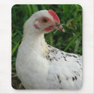 Tapis De Souris Poulet blanc