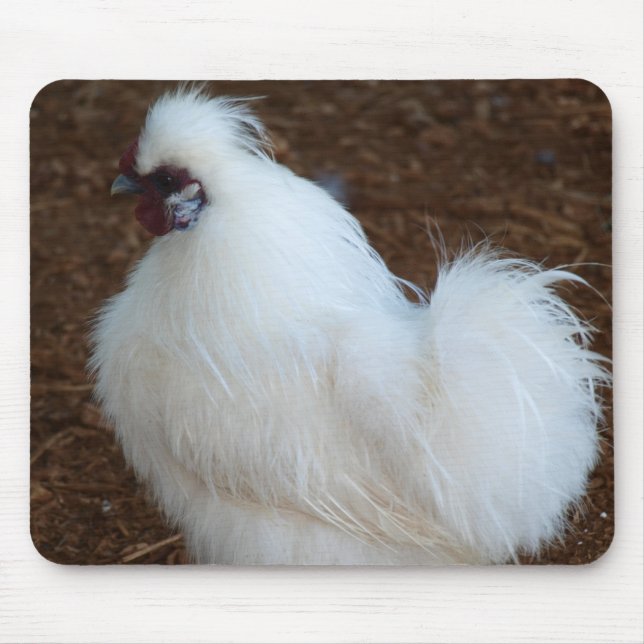 Tapis De Souris Poulet blanc de Silkie (Devant)