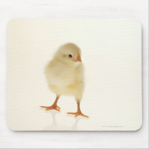 Tapis De Souris Poulet de bébé