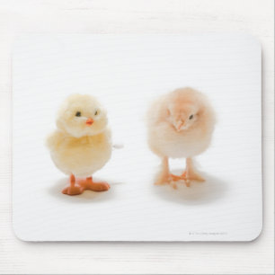 Tapis De Souris Poulet de bébé et faux poulet mécanique