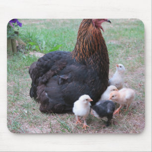 Tapis De Souris poulet, poussins, poules, poussin, animal, oiseau,