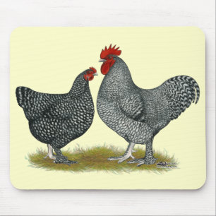 Tapis De Souris Poulets de Maline