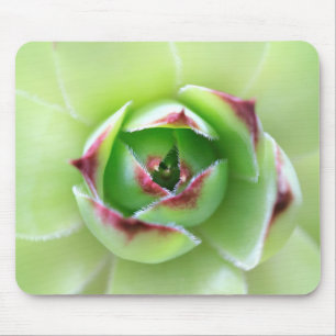 Tapis De Souris Poulets et poules Beau vert doux Succulent