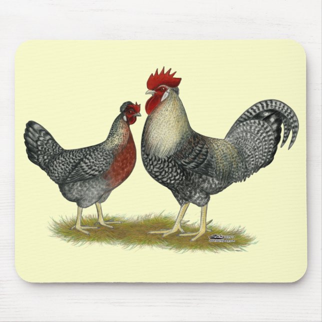 Tapis De Souris Poulets Legbar à la crème (Devant)