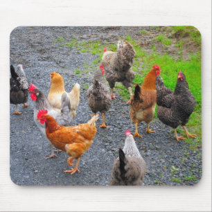Tapis De Souris Poulets Mousepad