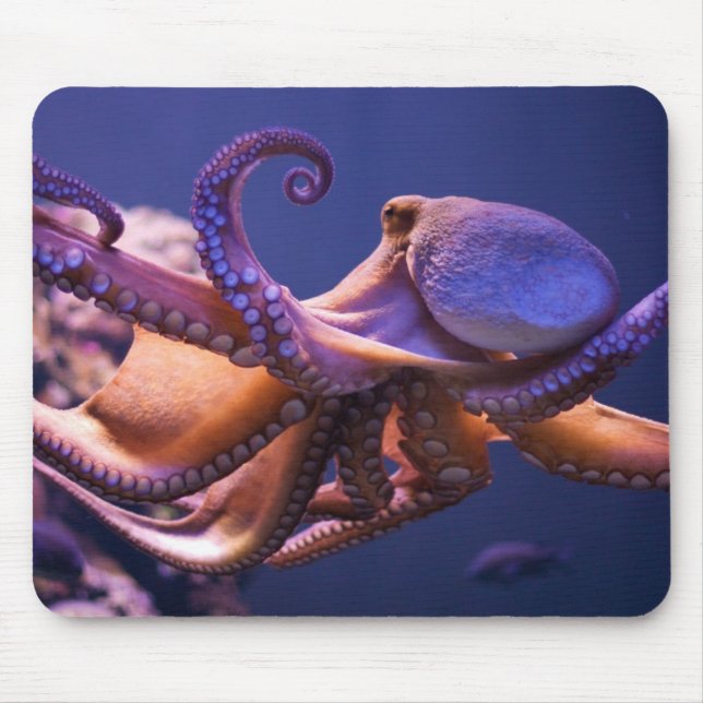 Tapis De Souris Poulpe Mousepad (Devant)