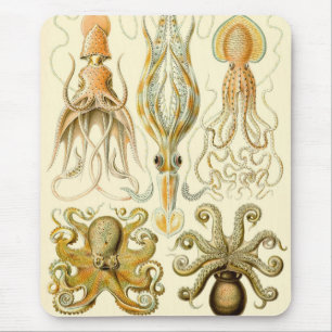Tapis De Souris Poulpe Vintage Squid Gamochonia par Ernst Haeckel