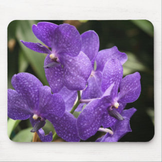 Tapis de souris pourpre d'orchidée